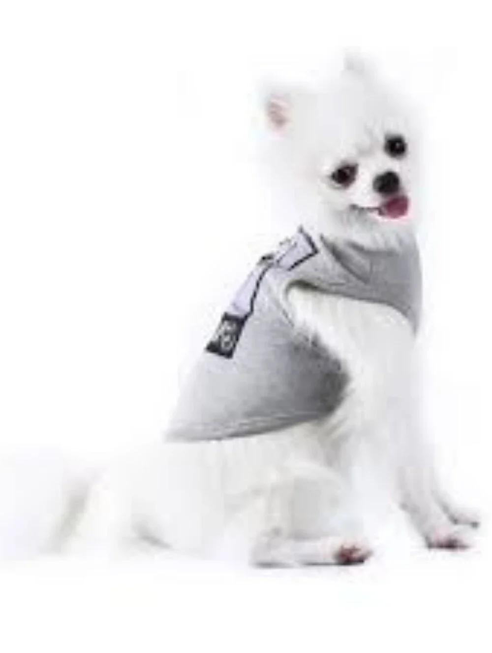 Dogs Grey Graphic Tank Top with Purple Leia Print